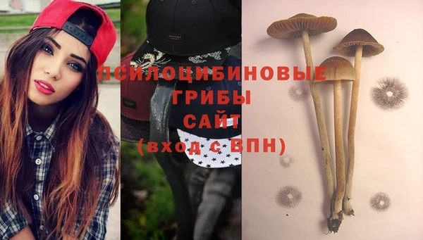 дурь Тутаев