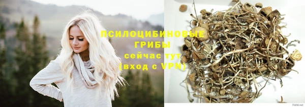 гашик Верхнеуральск