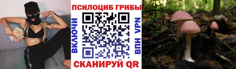 Псилоцибиновые грибы Psilocybine cubensis  Любим 